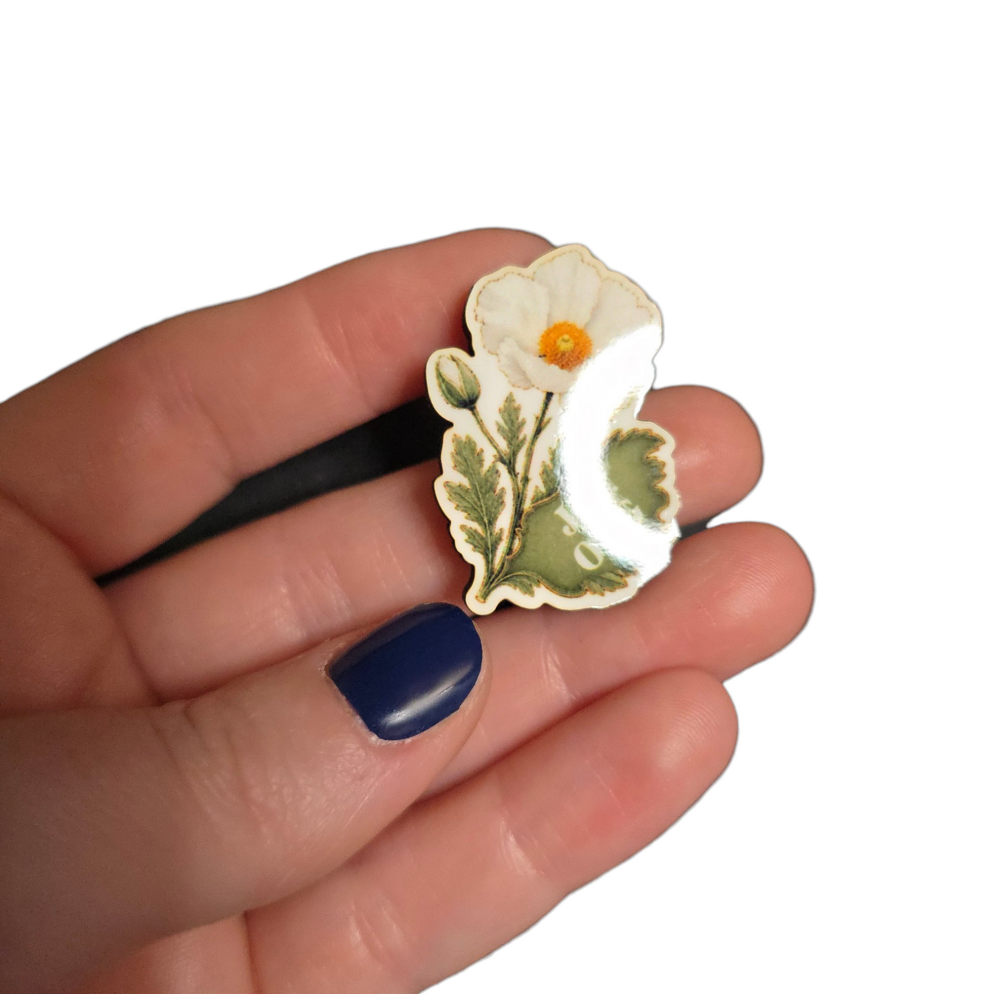 White Prickly Poppy Flower - JW.ORG - JW Gifts and Souvenirs