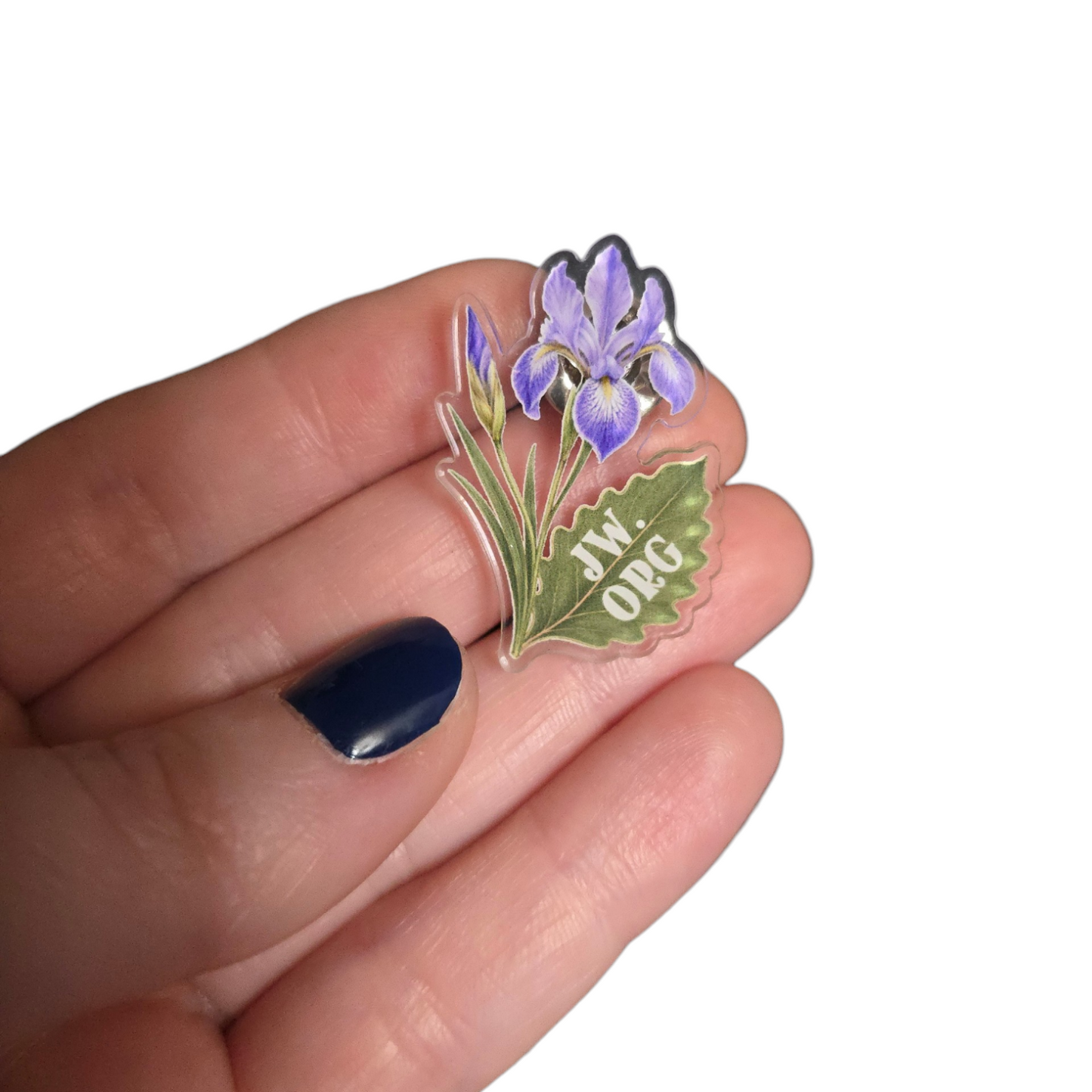 Rocky Mountain Iris Flower - JW.ORG - JW Gifts and Souvenirs