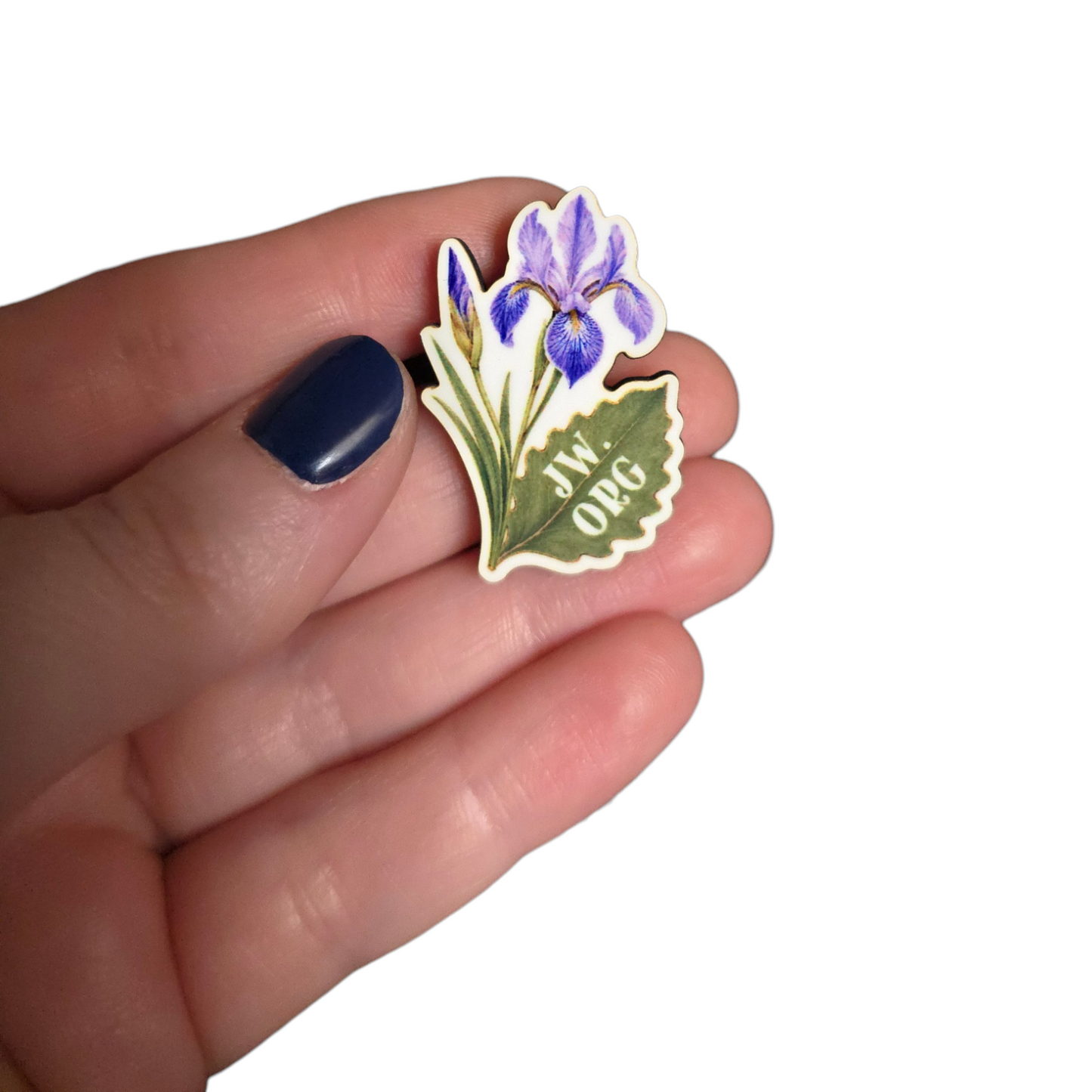 Rocky Mountain Iris Flower - JW.ORG - JW Gifts and Souvenirs