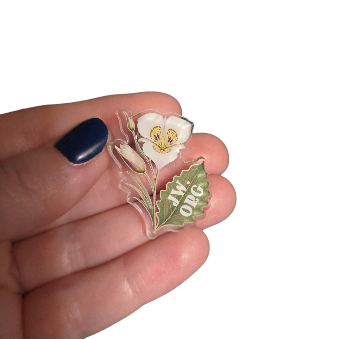 Sego Lily Flower - JW.ORG - JW Gifts and Souvenirs