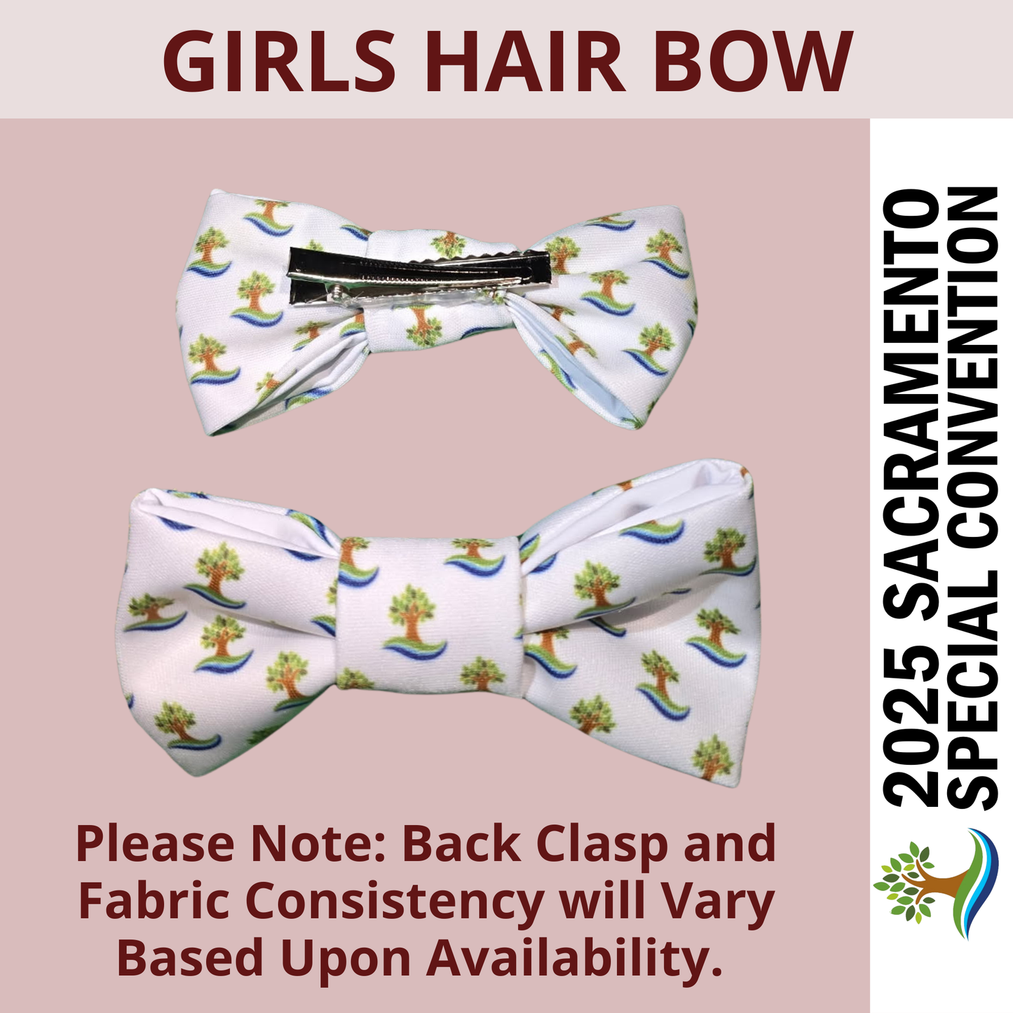 Girl's Hair Bows - Sacramento Special Convention