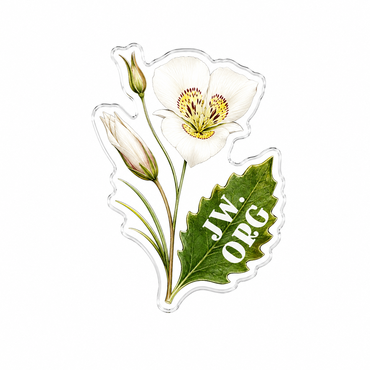 Sego Lily Flower - JW.ORG - JW Gifts and Souvenirs